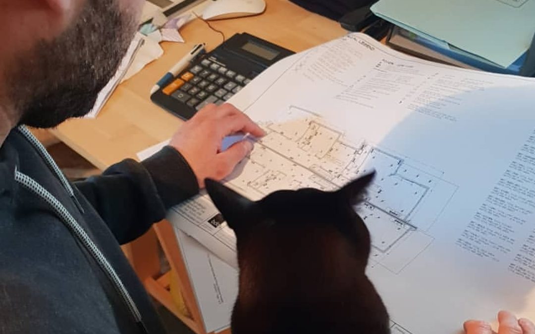 Owner of Quality Electrical Contracting, Nathan Fabiny with his pet cat working on electrical project pricing